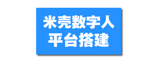 米壳数字人平台全新上线-对接小狐狸算力接口,提供同款代搭建服务-老吴出海笔记