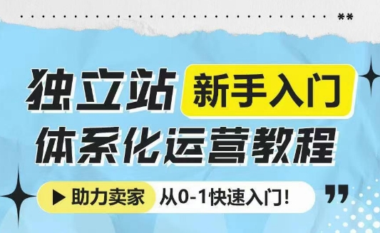 独立站新手入门体系化运营教程,助力独立站卖家从0-1快速入门!-老吴出海笔记