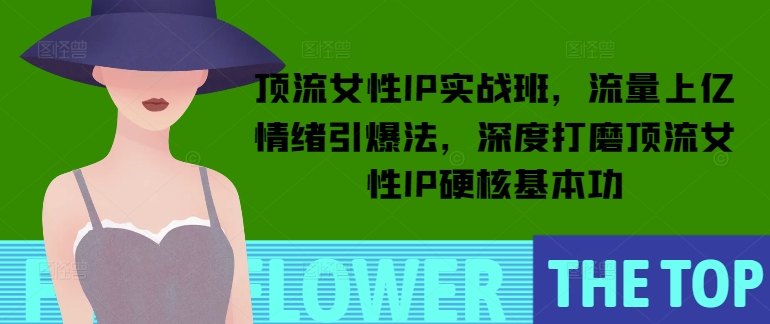 顶流女性IP实战班,流量上亿情绪引爆法,深度打磨顶流女性IP硬核基本功-老吴出海笔记