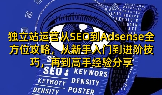 独立站运营从SEO到Adsense全方位攻略,从新手入门到进阶技巧,再到高手经验分享-老吴出海笔记