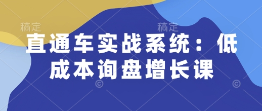 直通车实战系统：低成本询盘增长课，让个人通过技能实现升职加薪，让企业低成本获客，订单源源不断-老吴出海笔记