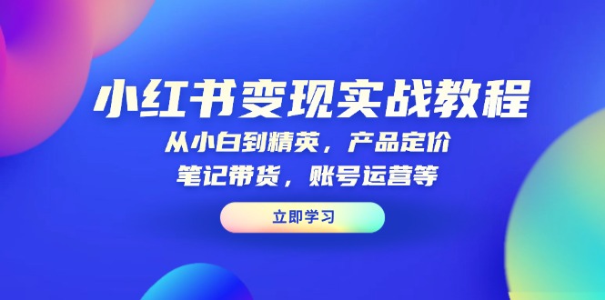 小红书变现实战教程：从小白到精英，产品定价，笔记带货，账号运营等-老吴出海笔记