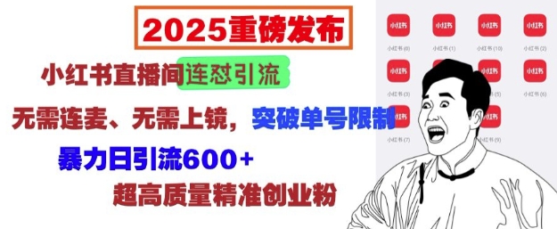 2025重磅发布:小红书直播间连怼引流,无需连麦、无需上镜,突破单号限制,暴力日引流600+-老吴出海笔记