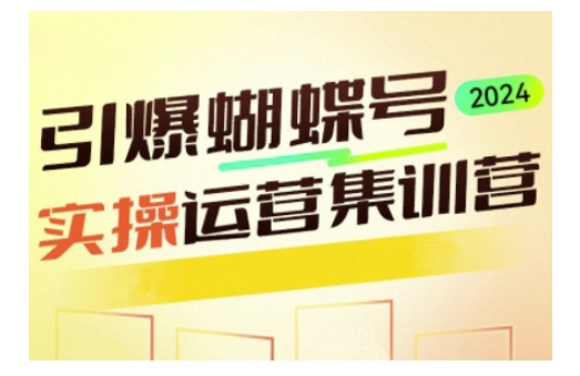 引爆蝴蝶号实操运营,助力你深度掌握蝴蝶号运营,实现高效实操,开启流量变现之路-老吴出海笔记