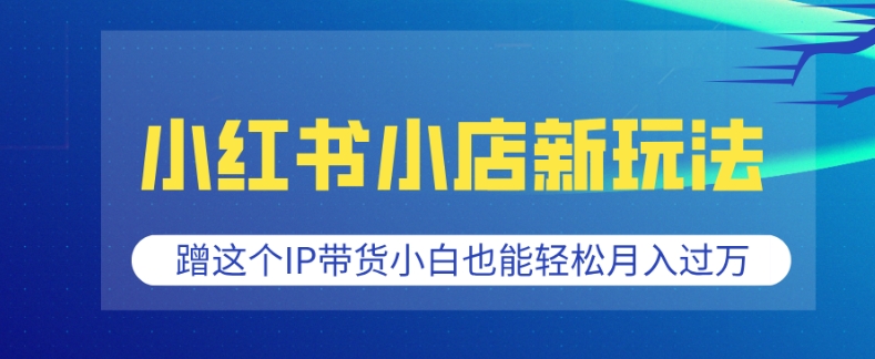 小红书小店新玩法，蹭这个IP带货，小白也能轻松月入过W【揭秘】-老吴出海笔记