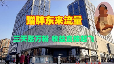 蹭胖东来流量,三天涨万粉,收益直接起飞-老吴出海笔记