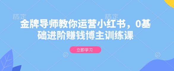 金牌导师教你运营小红书，0基础进阶赚钱博主训练课-老吴出海笔记