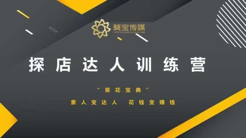 探店达人训练营,素人变达人,花钱变赚钱-老吴出海笔记