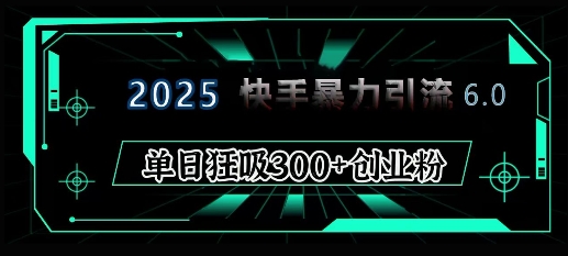 2025年快手6.0保姆级教程震撼来袭,单日狂吸300+精准创业粉-老吴出海笔记