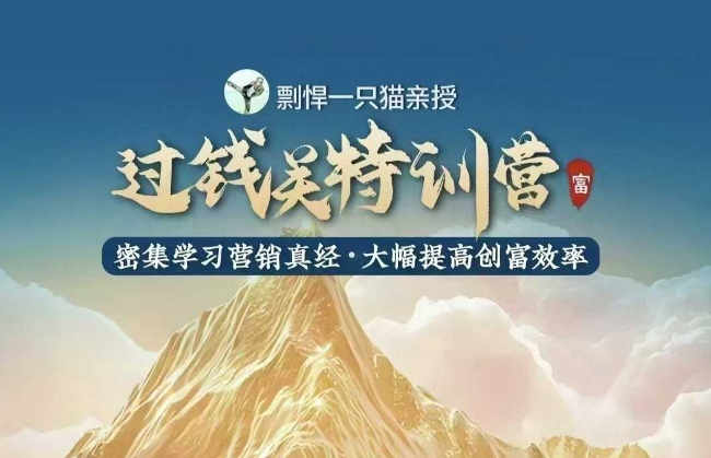 剽悍一只猫-过钱关特训营,学习营销真经 大幅度提高创富效率-老吴出海笔记