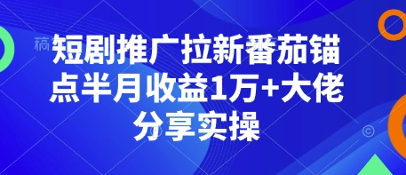 短剧推广拉新番茄锚点半月收益1万+大佬分享实操-老吴出海笔记