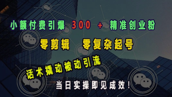 小额付费引爆 300 + 精准创业粉,零剪辑、零复杂起号,话术撬动被动引流,当日实操即见成效-老吴出海笔记