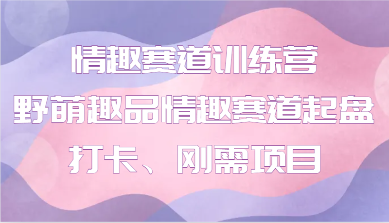 情趣赛道训练营 野萌趣品情趣赛道起盘打卡、刚需项目-老吴出海笔记