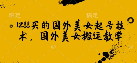 1288买的国外美女起号技术,国外美女搬运教学-老吴出海笔记
