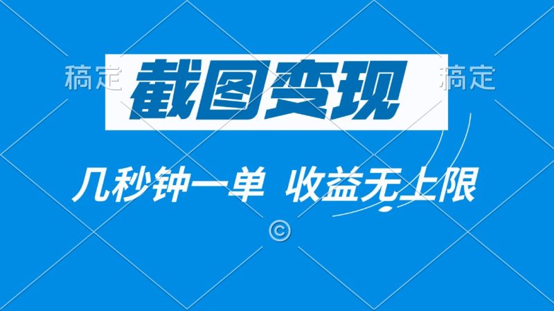 截图变现,几秒钟一单,收益无上限-老吴出海笔记