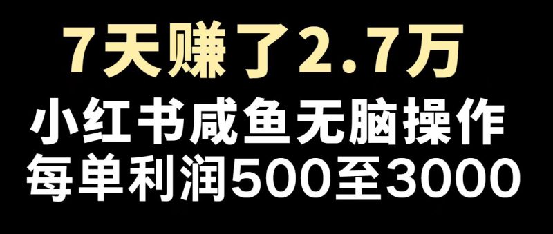 最赚钱项目之一,2025爆火,逆风翻盘!-老吴出海笔记