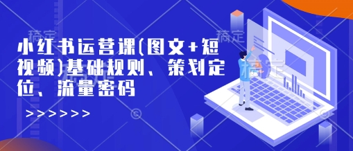 小红书运营课(图文+短视频)基础规则、策划定位、流量密码-老吴出海笔记