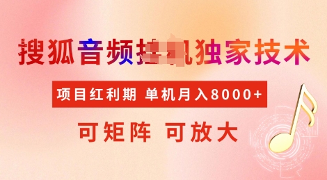 全网首发搜狐音频挂JI独家技术,项目红利期,可矩阵可放大,稳定月入8k【揭秘】-老吴出海笔记