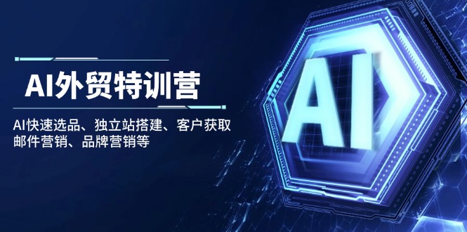 AI外贸特训营:AI快速选品、独立站搭建、客户获取、邮件营销、品牌营销等-老吴出海笔记