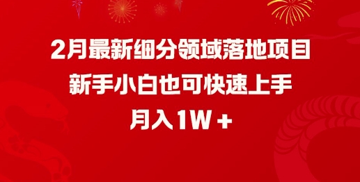 2月最新细分领域落地项目,新手小白也可快速上手,月入1W-老吴出海笔记