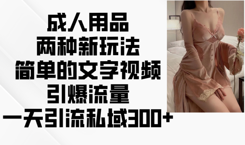 成人用品两种新玩法，简单的文字视频引爆流量，一天引流私域300+-老吴出海笔记