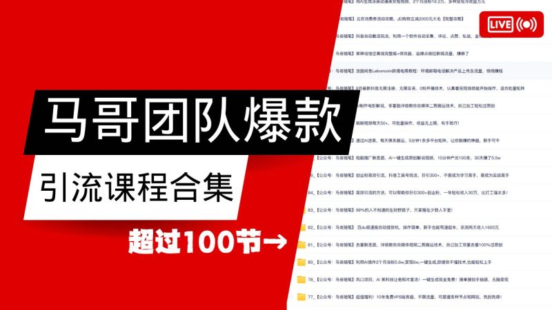 马哥团队【122节】最全项目爆款引流课程合集【持续更新】-老吴出海笔记