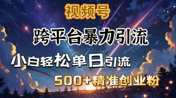 跨平台暴力引流,私域完美闭环,日引500+精准创业粉-老吴出海笔记