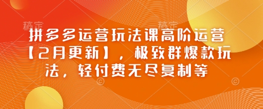 拼多多运营玩法课高阶运营【2月更新】，极致群爆款玩法，轻付费无尽复制等-老吴出海笔记