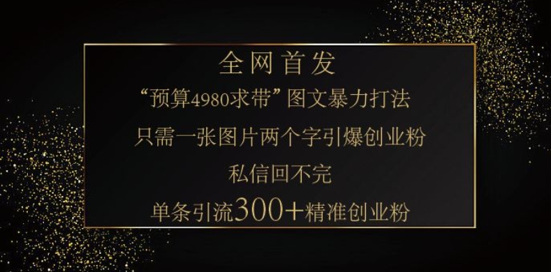 小红书神奇图片引流法，只需一张图，就能单条笔记凭借此方法，轻松引流 300 + 精准创业粉-老吴出海笔记