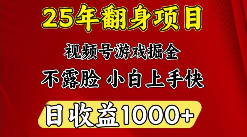 一天收益1000+ 25年开年落地好项目-老吴出海笔记