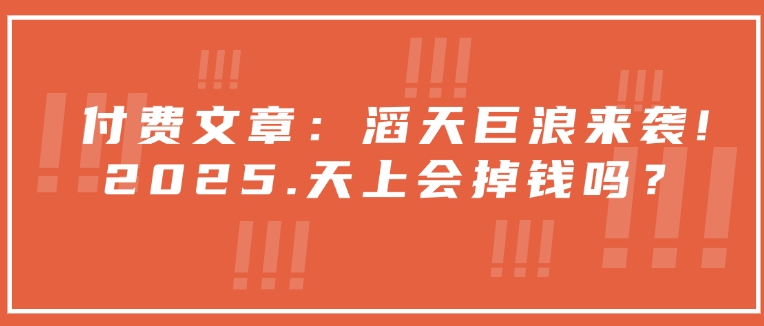 付费文章：滔天巨浪来袭！2025天上会掉钱吗？-老吴出海笔记