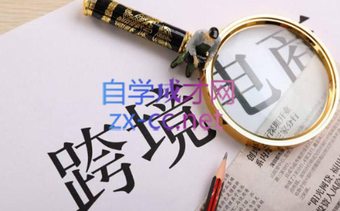 帮课大学VIP会员课程(更新2025年)-老吴出海笔记