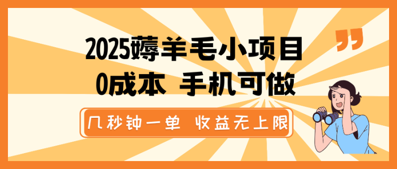 2025薅羊毛小项目,0成本 手机可做,几秒钟一单,收益无上限-老吴出海笔记