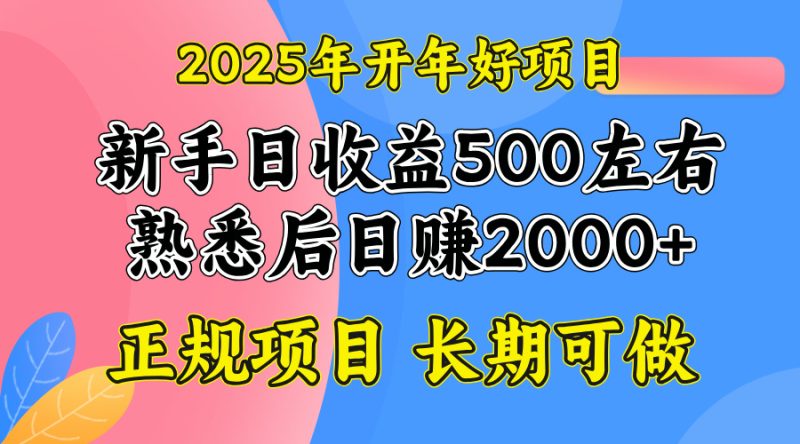 2025开年好项目,单号日收益2000左右-老吴出海笔记