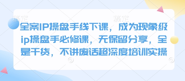全案IP操盘手线下课,成为现象级ip操盘手必修课,无保留分享,全是干货,不讲废话超深度培训实操-老吴出海笔记