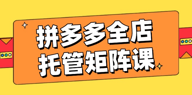 拼多多全店托管矩阵课,盈利动销玩法,高效计划设置,提升店铺效益-老吴出海笔记