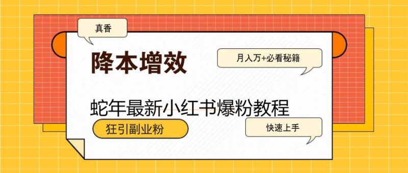 蛇年最新小红书爆粉教程，狂引副业粉，月入万+必看-老吴出海笔记