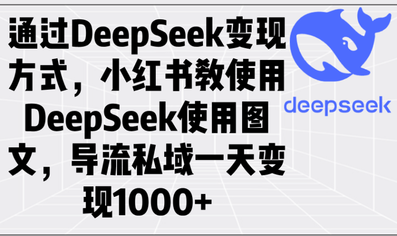 通过DeepSeek变现方式,小红书教使用DeepSeek图文,导流私域一天变现1000+-老吴出海笔记