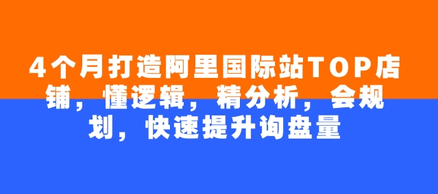 4个月打造阿里国际站TOP店铺,懂逻辑,精分析,会规划,快速提升询盘量-老吴出海笔记