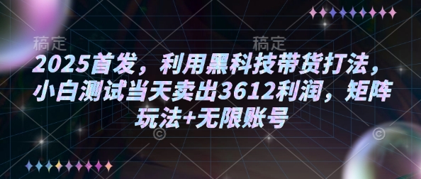 2025首发,利用黑科技带货打法,小白测试当天卖出3612利润,矩阵玩法+无限账号【揭秘】-老吴出海笔记