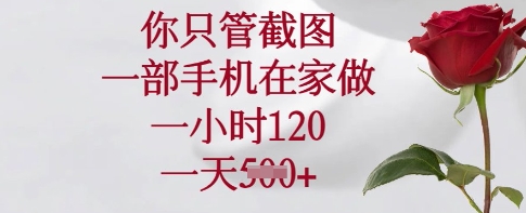 你只管截图,一部手机在家做,一小时120.一天5张【揭秘】-老吴出海笔记