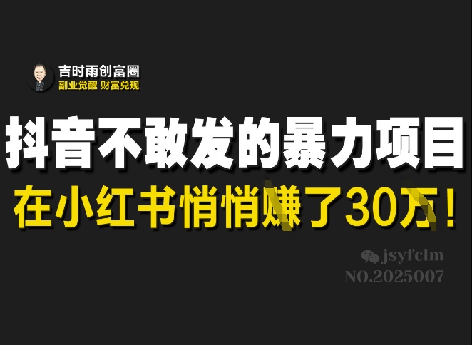 抖音不敢发的暴利项目,在小红书悄悄挣了30W-老吴出海笔记