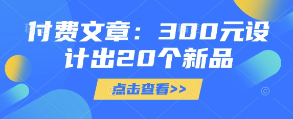 付费文章：300元设计出20个新品-老吴出海笔记