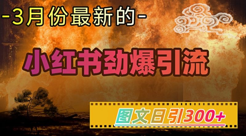 小红书超劲爆引流手段，图文日引300+轻松变现1W-老吴出海笔记