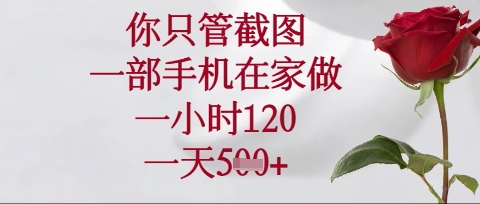 你只管截图，一部手机在家操作，一小时120.一天5张【揭秘】-老吴出海笔记