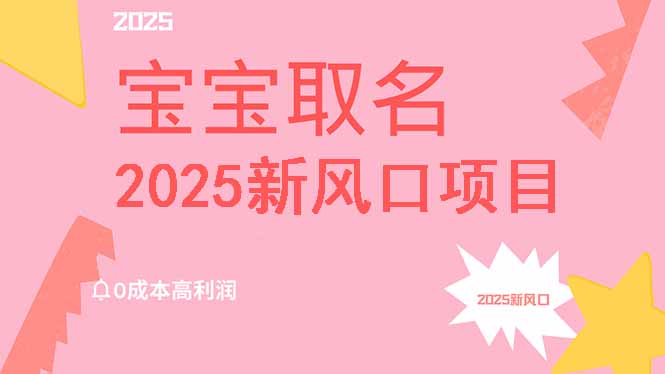 2025新风口项目宝宝取名,0成本高利润,附保姆级教程,月入过万不是梦-老吴出海笔记