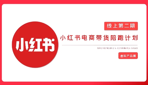 2025小红书虚拟电商实战课，从0到1打造无货源店铺，AI+爆款笔记轻松变现-老吴出海笔记