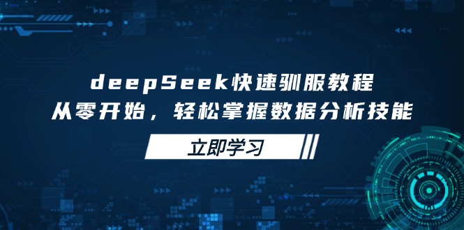 deepSeek快速驯服教程,从零开始,轻松掌握数据分析技能-老吴出海笔记