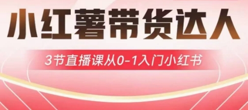 小红薯达人带货启航计划，3节直播课从0-1入门小红书-老吴出海笔记