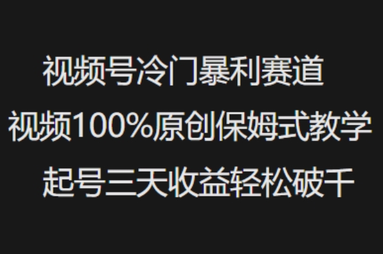 视频号冷门暴利赛道视频100%原创保姆式教学起号三天收益轻松破千-老吴出海笔记